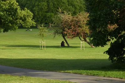 DSC_5978 (Large).JPG